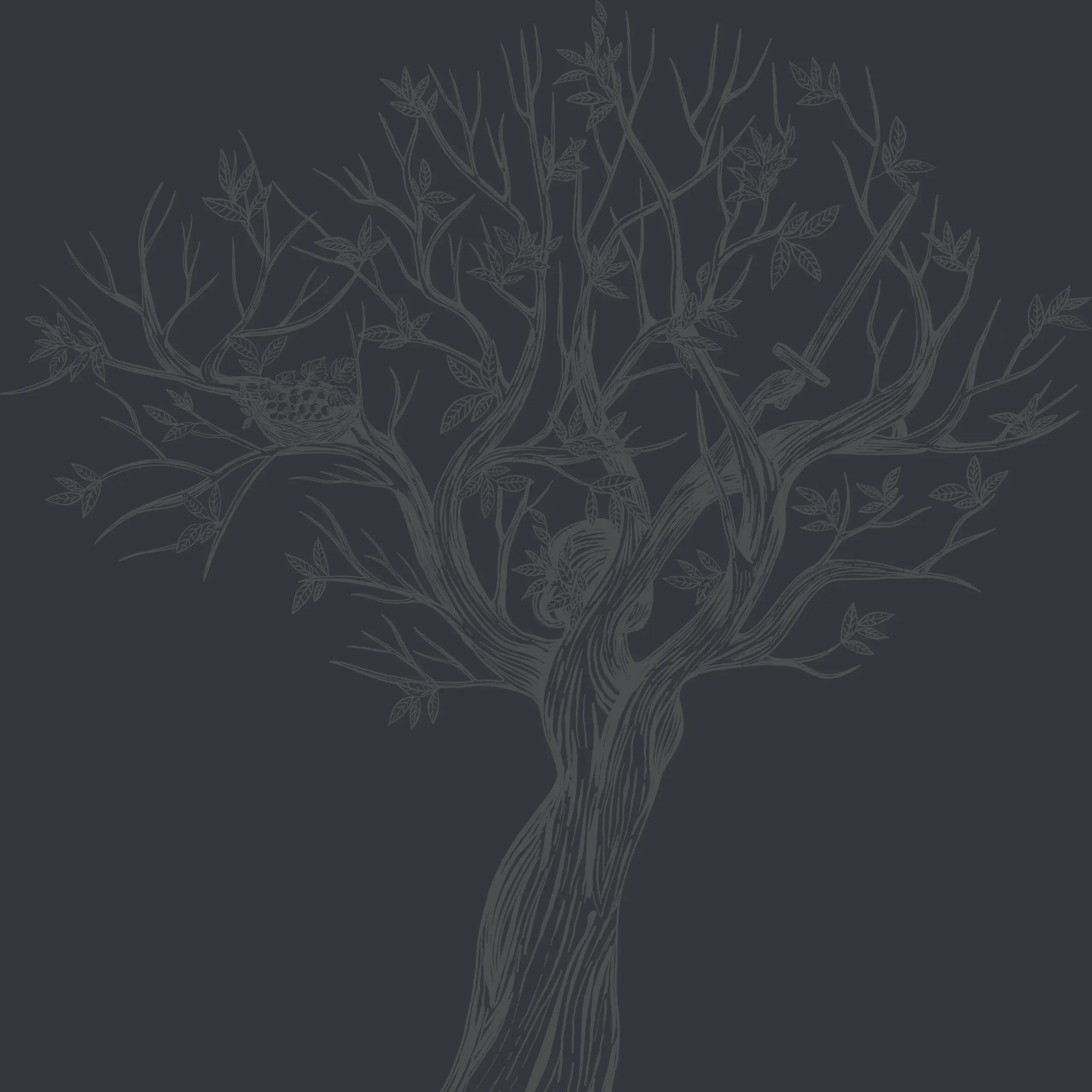 A detailed line drawing of a tree with branches, leaves, a bird’s nest, and a bird perched on one of the branches, reminiscent of a quiet vineyard in Georgia where nature and wine culture beautifully intertwine.