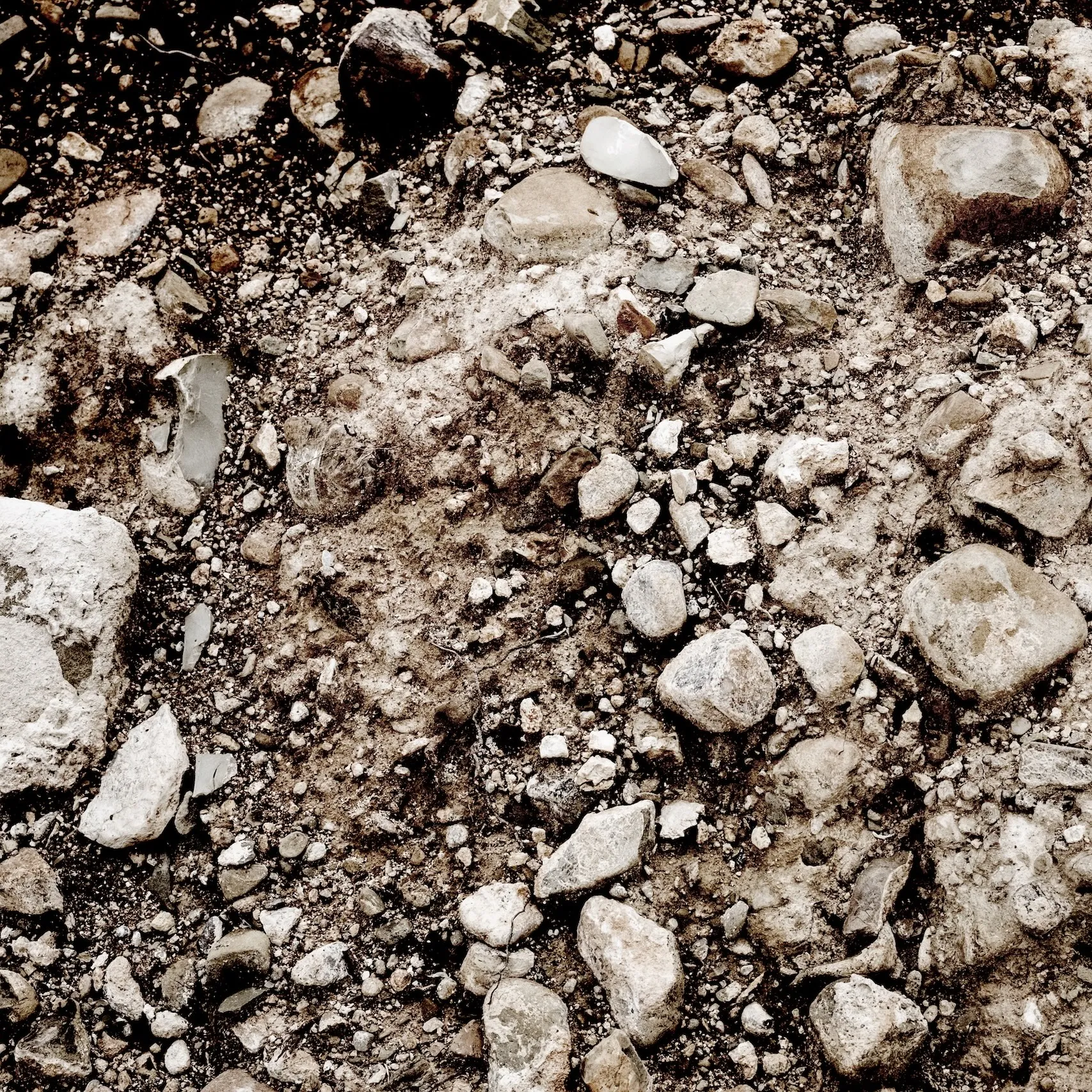A patch of rough ground covered with various-sized rocks, pebbles, and patches of dirt.